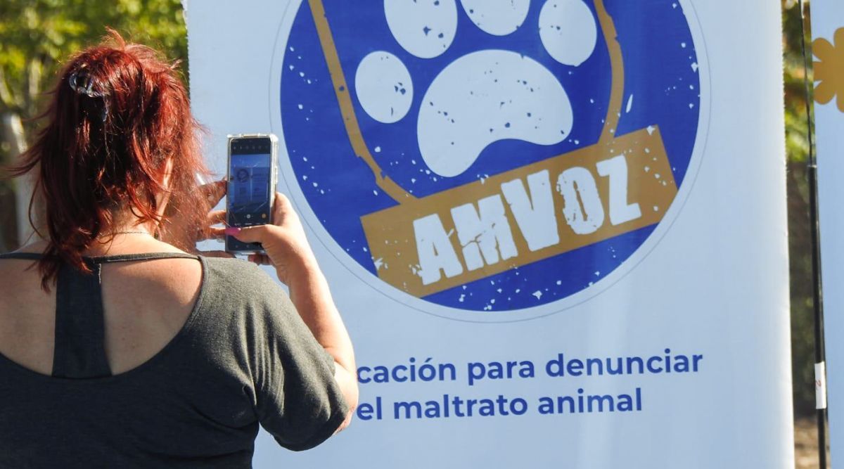 Imputan a dos sujetos por maltrato animal