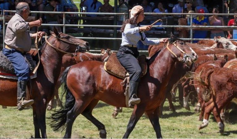 Atractiva agenda de fiestas populares