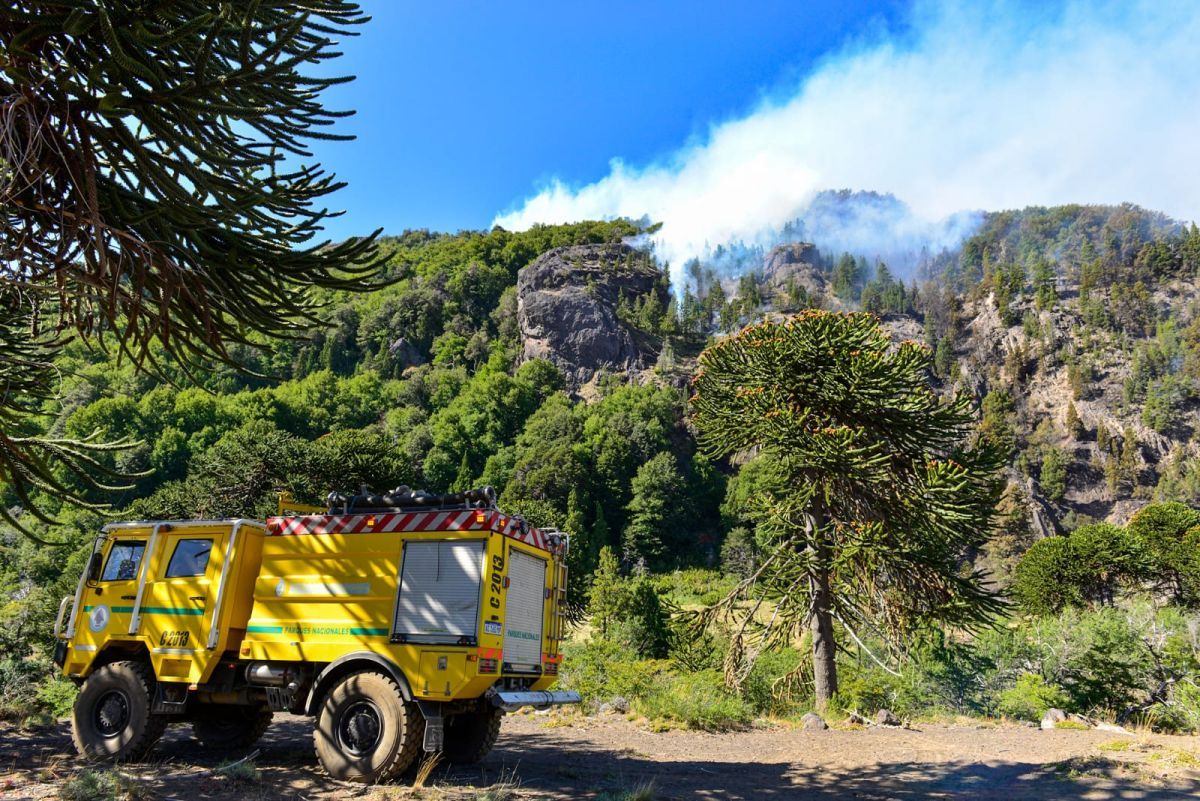Incendios: la provincia se prepara para el día después