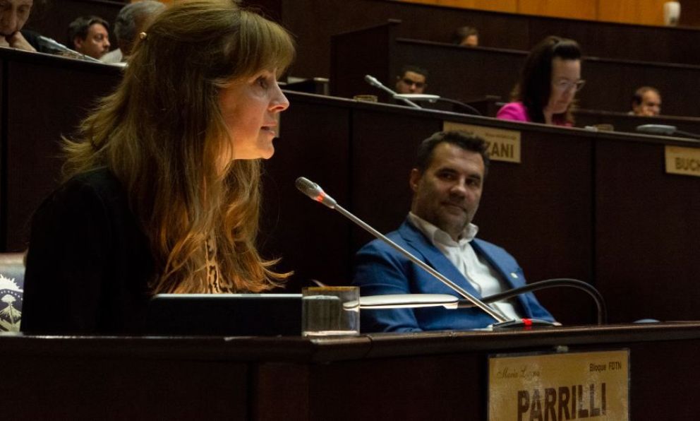 Desde Neuquén piden juicio político a Javier Milei