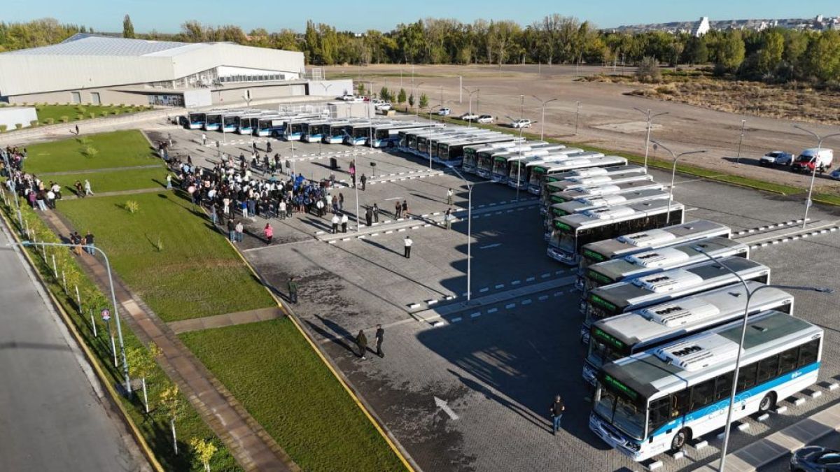 Neuquén tiene “los mejores” colectivos del país