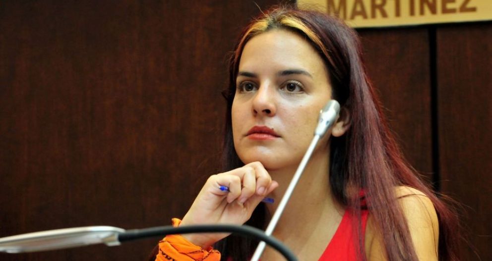 Diputados neuquinos repudiaron a Bullrich