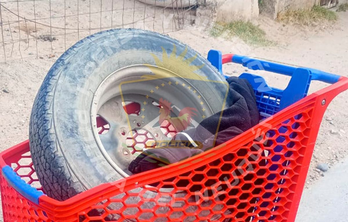 Ratas: se robaron una rueda y se la llevaron en un carrito