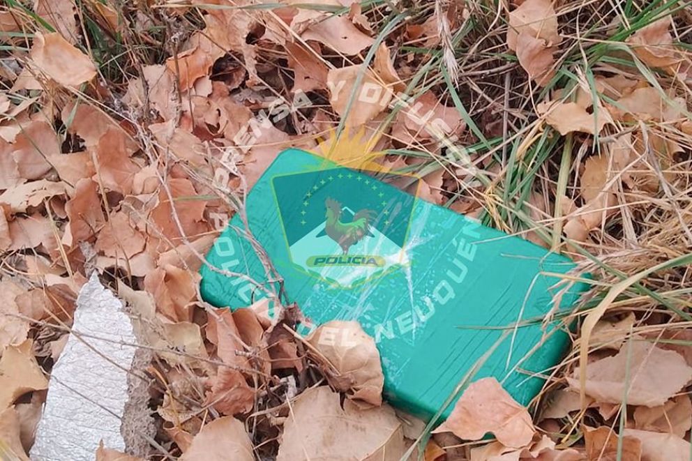 NQN: tenían más de dos kilos de cocaína