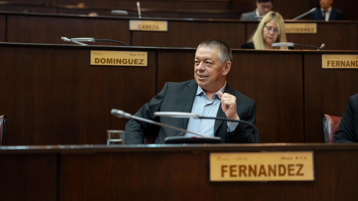 Dura crítica del MPN a Javier Milei