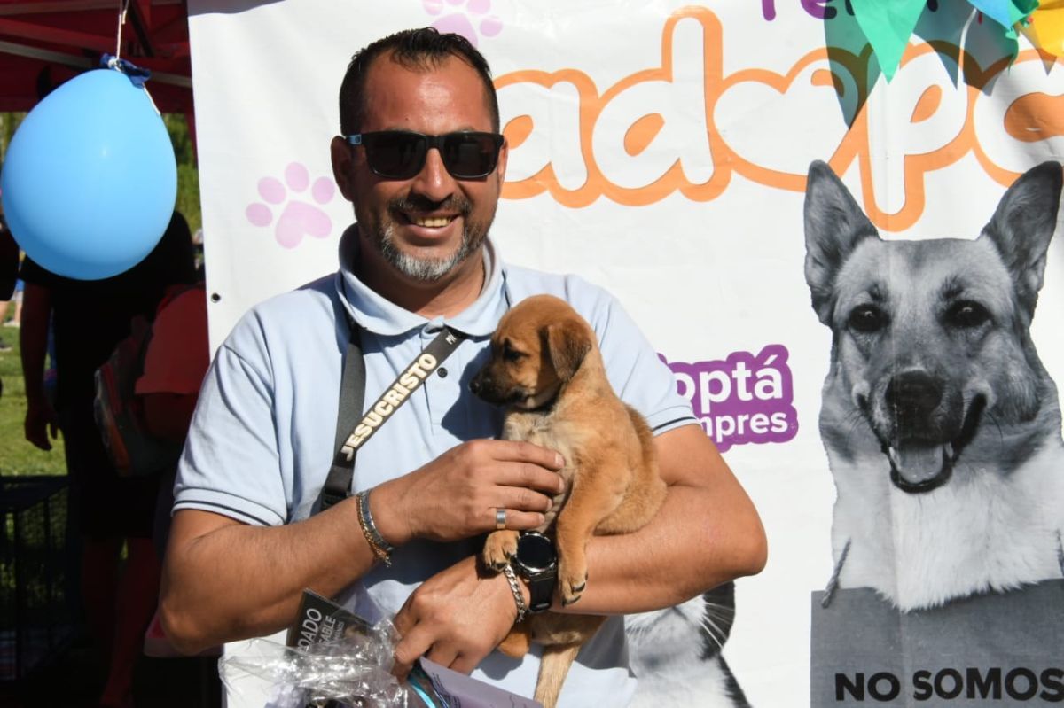 En tiempo récord, adoptaron todas las mascotas