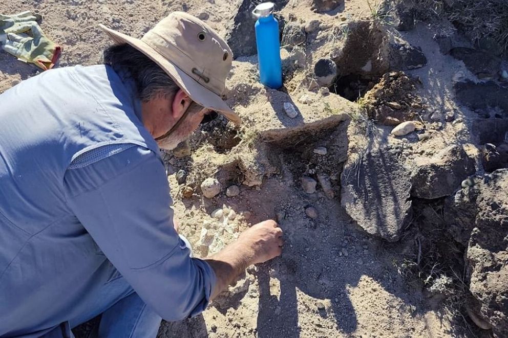 Sorprendente hallazgo en el norte neuquino
