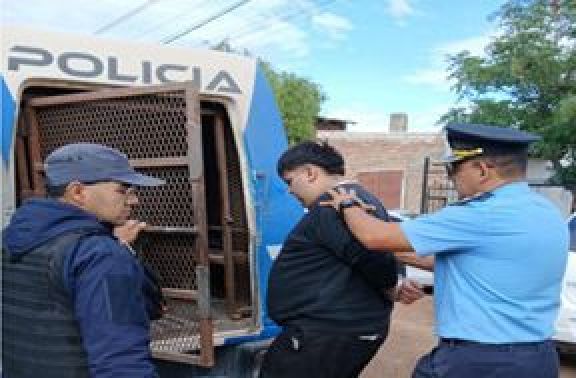 Fueron en busca de armas y encontraron un vivero narco