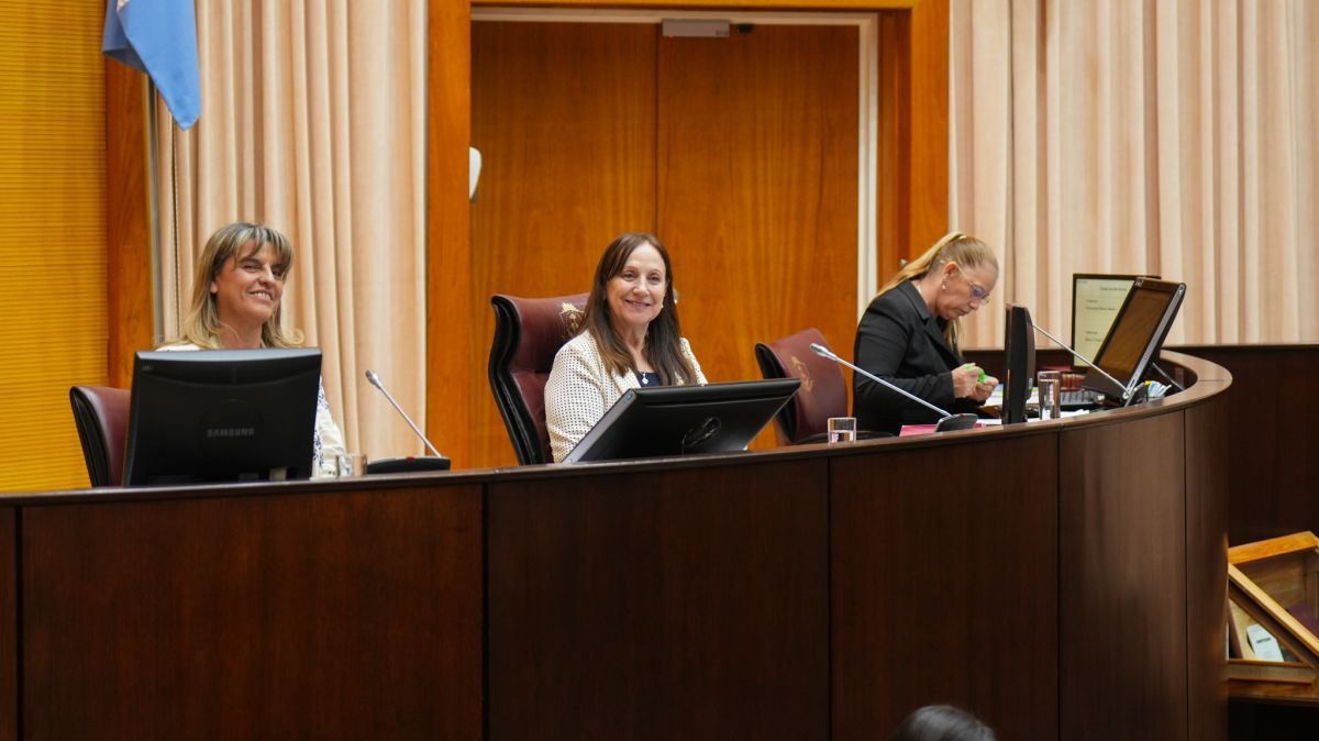 Respaldo legislativo a obra fundamental para Vaca Muerta