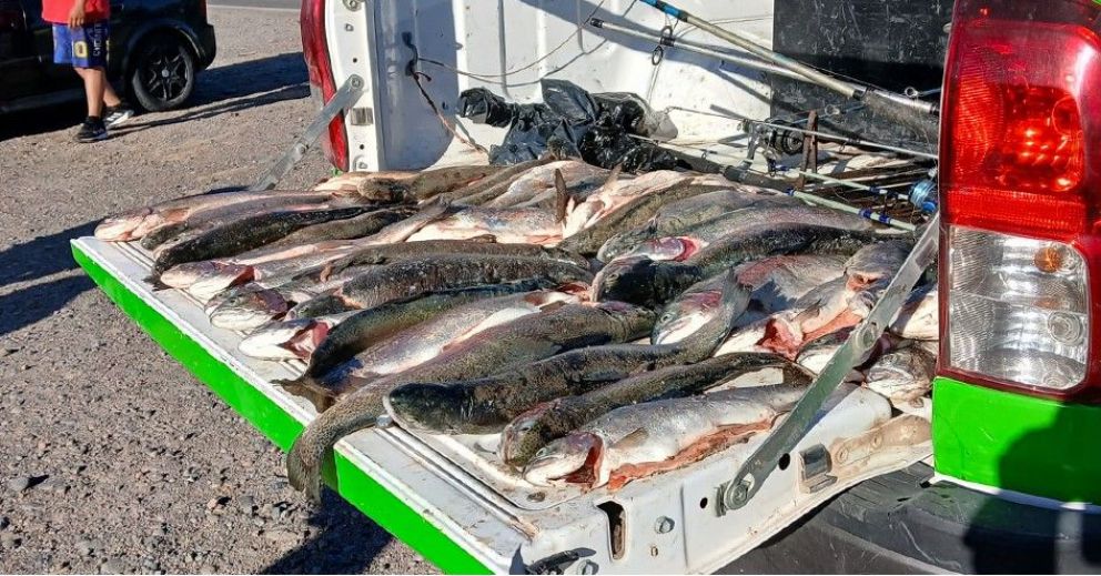 No aprenden más: pesca furtiva y fogones en sitios prohibidos