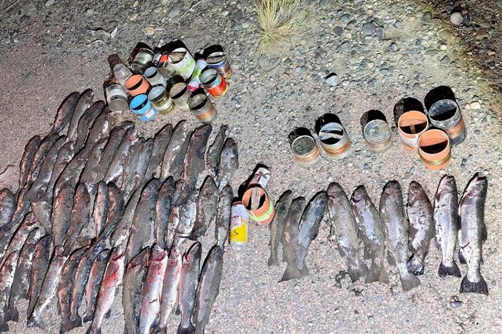 No aprenden más: pesca furtiva y fogones en sitios prohibidos