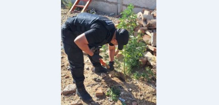 Drogas: ahora cayeron “productores” y “ocupas”