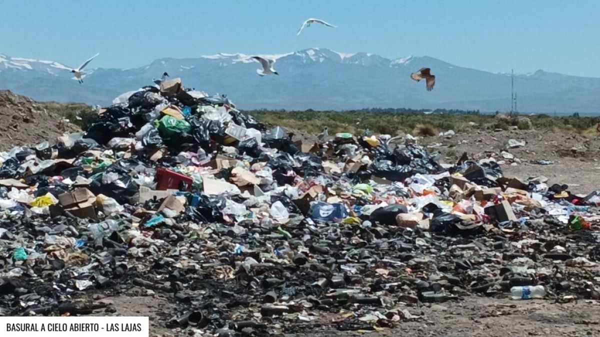 Intendenta va al banquillo por la causa de “la mugre”