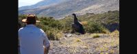 Profesionalismo y emociones en el rescate de un cóndor