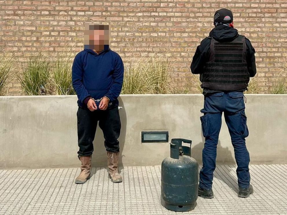 Se fueron en vicio: tenían marihuana de 2,50 metros