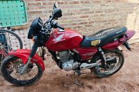 Robaron motos, autos y enjaularon un búho: cayeron presos