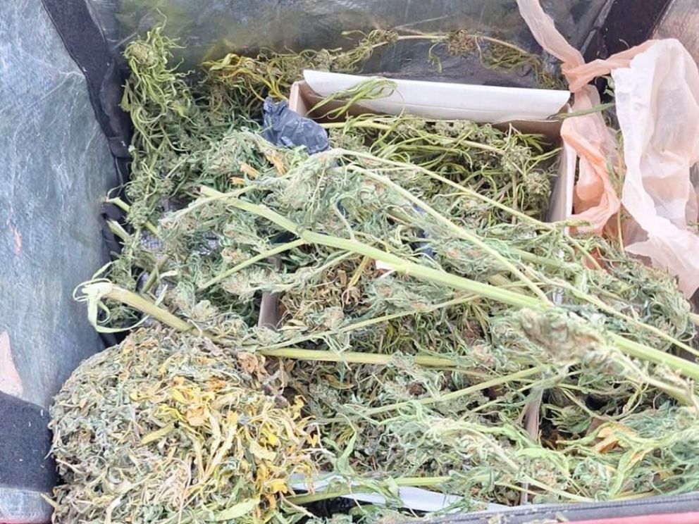 Delivery de drogas (con apariencia de literal)