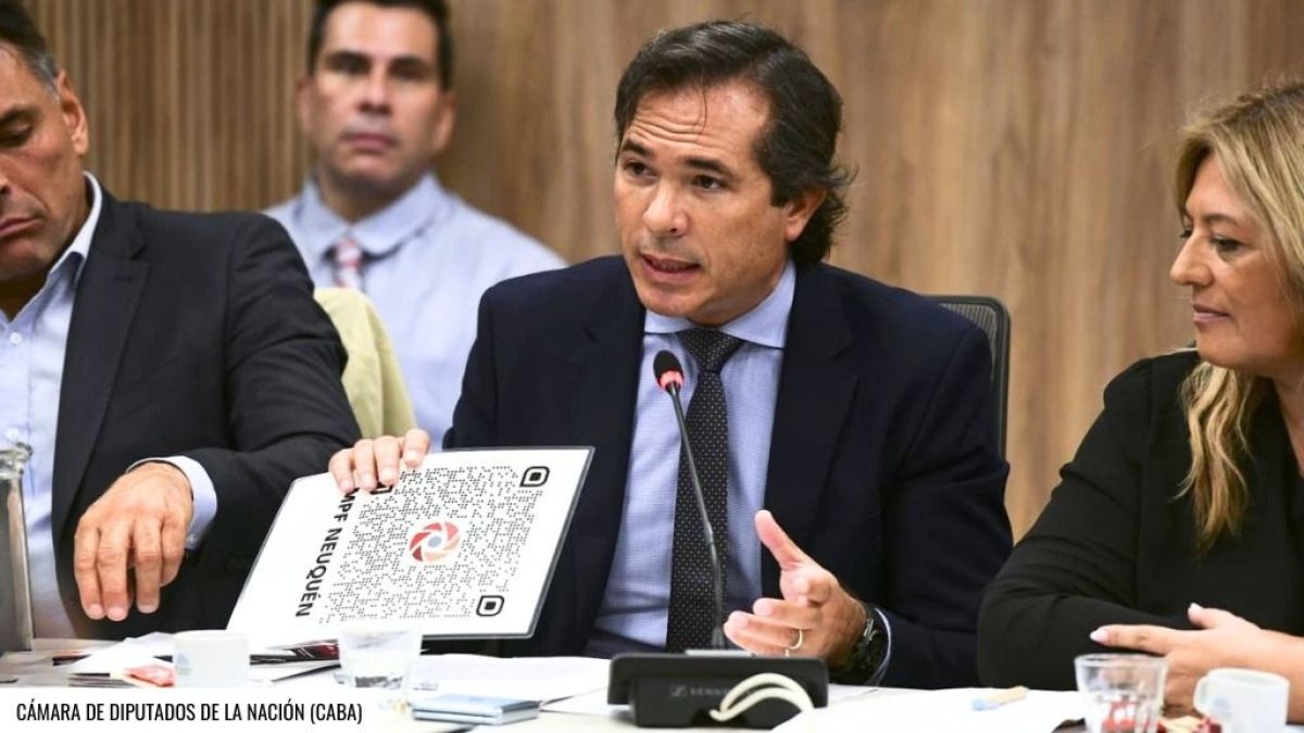 Estrategia neuquina fue expuesta en el Congreso de la Nación