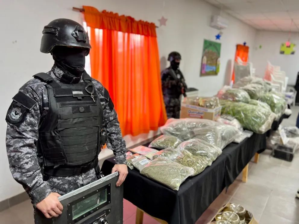 Desmantelaron impresionante invernadero de marihuana