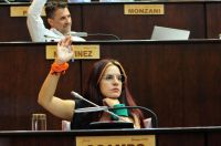 Diputada neuquina relativiza un delito peligroso