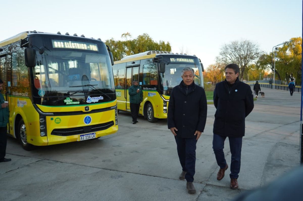 Los colectivos eléctricos tendrán un recorrido recreativo