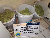 Usaban baldes para esconder cinco de kilos de marihuana