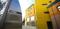 Faltó, volvió a faltar y lo echaron