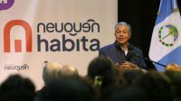 Figueroa rechazó la extranjerización y el proyecto naufragó