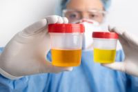 Cómo serán los narcotest sorpresivos para diputados