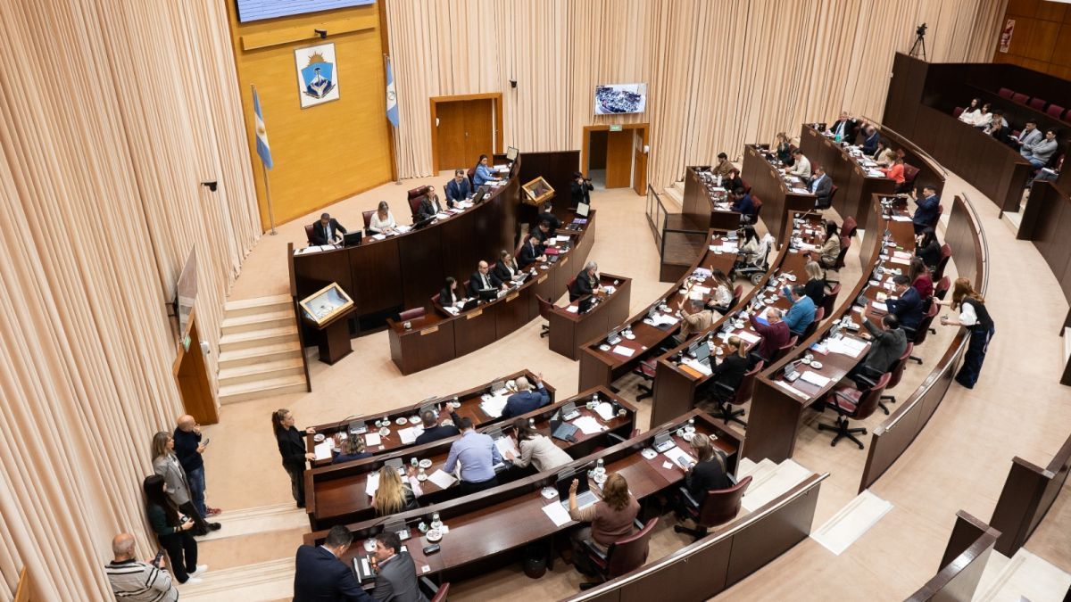 Cómo serán los narcotest sorpresivos para diputados