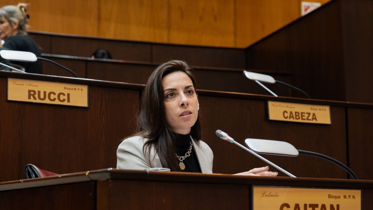 “¿Dónde están los fondos?”, la pregunta neuquina a Milei