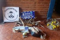Cazador furtivo quedó en la mira de la Justicia