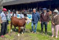 Neuquén no sólo crece: planifica su expansión productiva