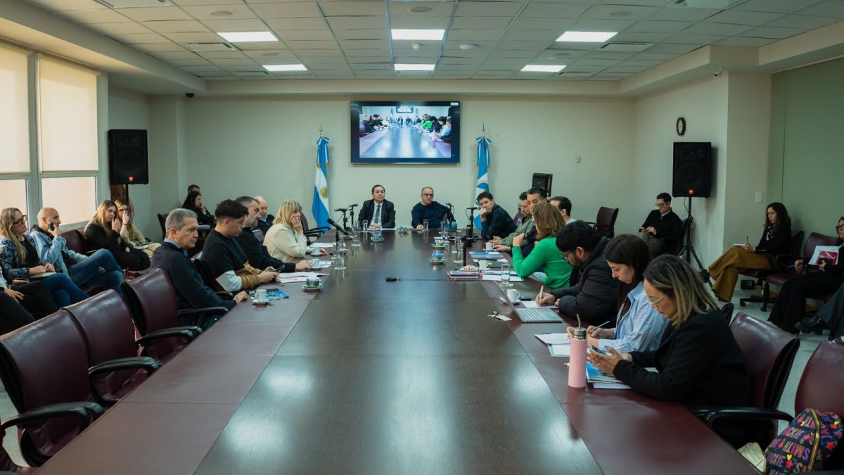 Neuquén le pondrá límites al uso de IA en campañas políticas