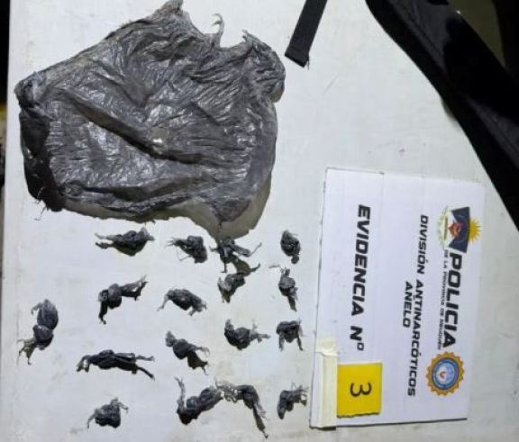 Otro golpe al narcotráfico: la banda operaba en Vaca Muerta