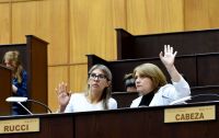 Firme reclamo de diputados neuquinos a Milei