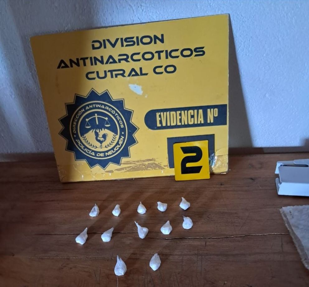 Cayeron otras dos ratas, esta vez en la Comarca
